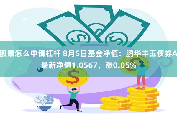 股票怎么申请杠杆 8月5日基金净值：鹏华丰玉债券A最新净值1.0567，涨0.05%