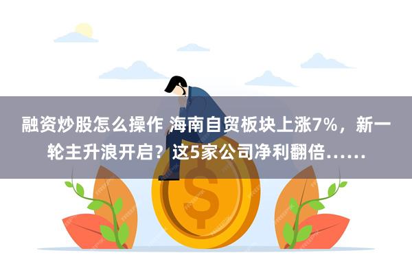 融资炒股怎么操作 海南自贸板块上涨7%，新一轮主升浪开启？这5家公司净利翻倍……