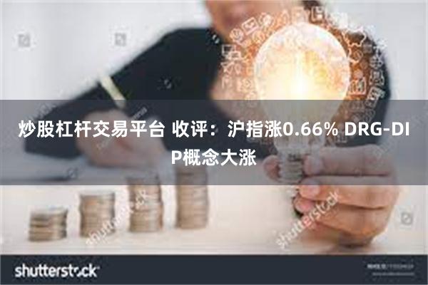 炒股杠杆交易平台 收评：沪指涨0.66% DRG-DIP概念大涨