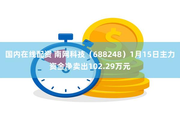 国内在线配资 南网科技（688248）1月15日主力资金净卖出102.29万元